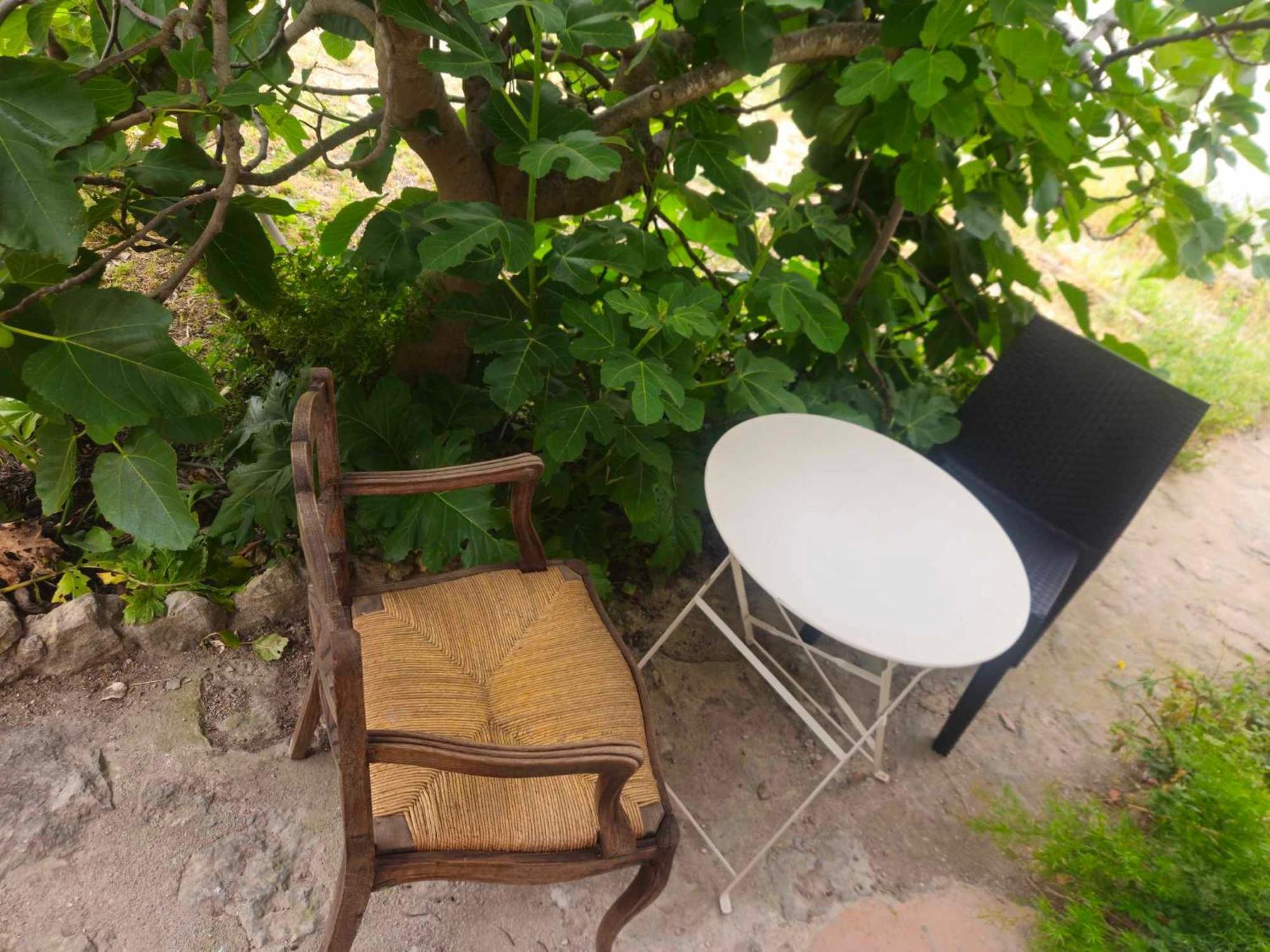 Apartamento Avec Exterieur